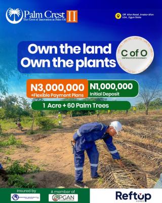 Own a Piece of Nigerias Thriving Palm Oil Industry, Certificate of Occupancy, Imeko Afon, Ogun, Commercial Land for Sale