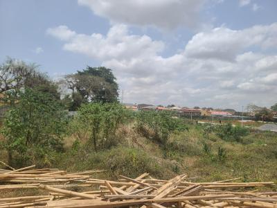 Commercial Land Available, Omole Phase 2, Omole Phase 2, Ikeja, Lagos, Commercial Land for Sale