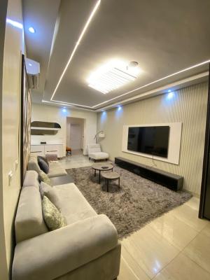 Luxury Furnished 2 Bedroom Apartment with Excellent Facility, Admiralty Road, Lekki Phase 1, Lekki, Lagos, Flat / Apartment for Rent