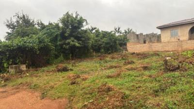 One and Half Plot of Land, Oteru, Awotan, Apete., Ido, Oyo, Residential Land for Sale