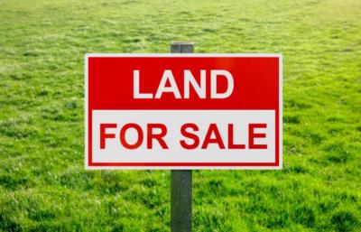 Bare and Fenced Land Measuring 8530sqm, Along Old Ojo Road , Opposite Bokku Supermarket., Abule-ado, Amuwo Odofin, Lagos, Commercial Land for Sale