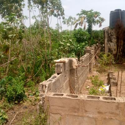 Full Standard Plot in a Well Developed Area, Off Cash and Carry Bus Stop Lusada Road, Ado-odo/ota, Ogun, Mixed-use Land for Sale