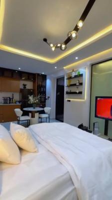 Chic 1 Bedroom Studio Apartment Is Available for Booking, Ikate, Lekki, Lagos, Mini Flat (room and Parlour) Short Let