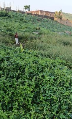 2000 Square Meters Available in The Heart of Guzape Main Abuja, Back of Hmedix Guzape, Guzape District, Abuja, Residential Land for Sale