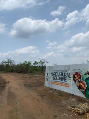 Earn Regularly From Cocoa ,cassava, Palm Oil ,cashew Or Plantain Farm, Fertile Land with a Discount Offer Suitable for Several Crop Farming, Abeokuta South, Ogun, Mixed-use Land for Sale