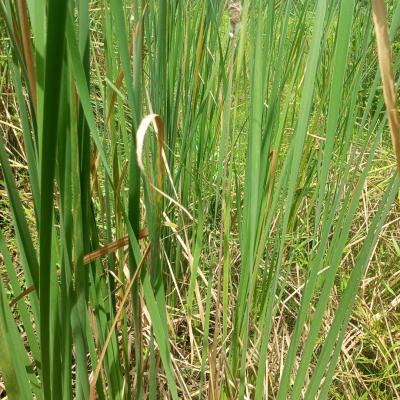 a Quarter Plot of Land in a Call to Access Estate, Silver Point Estate Badore Ajah-lekki, Badore, Ajah, Lagos, Residential Land for Sale