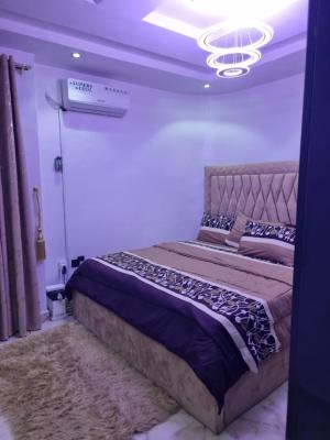 1bedroom at Anthony, Corona Estate, Anthony, Maryland, Lagos, Mini Flat (room and Parlour) for Rent