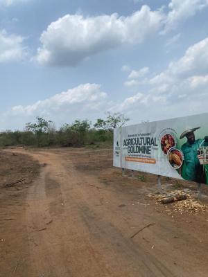 Invest Smart , Earn Big . Own a Farmland with As Low As 300k Deposit, Buy 6 Plots , Get 1 Plot Free, Flexible Payment Plan Available, Abeokuta South, Ogun, Mixed-use Land for Sale