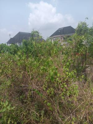 Land with Register Survey, Ebute, Ikorodu, Lagos, Mixed-use Land for Sale
