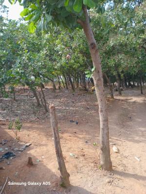 a Plots of Land, Zone1 Near Kalma Estate, Sabon Lugbe Ext. Abuja, Sabon Lugbe, Lugbe District, Abuja, Residential Land for Sale