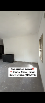 Massive and Affordable Studio Apartment, Igbo Efon, Lekki, Lagos, Self Contain (single Rooms) for Rent