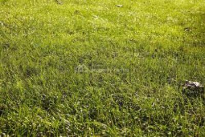 Prime Island Measuring 15 Hectares Suitable for Ship Yard, Tomaro Island, Apapa, Lagos, Commercial Land for Sale