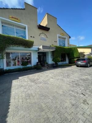 Spacious Commercial Shop Space, Victoria Island (vi), Lagos, Shop for Rent