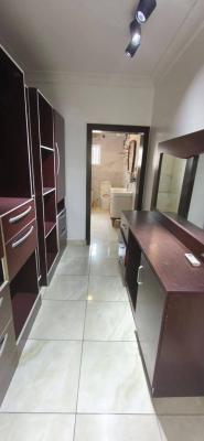 Excellently Renovated 4 Bedroom Terrace Duplex, Banana Island, Ikoyi, Lagos, Terraced Duplex for Rent