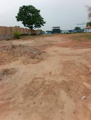 a Land Measuring 2128 Square Meters, Central Business District, Abuja, Commercial Land for Rent