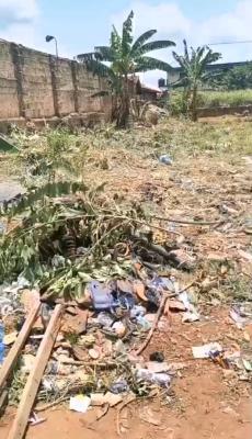 Lands, Ikpoba Okha, Edo, Mixed-use Land for Sale