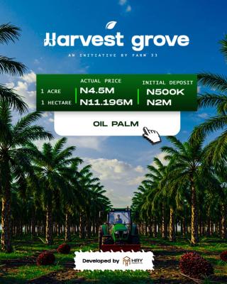 Most Affordable Palm Oil Investment in Ogun State, Located in Ayepe, Odogbolu Lga, Ogun State, After Epe Toll Gate, Km 46, Ogun, Commercial Land for Sale