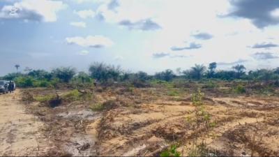 Buy and Build Land with Certificate of Occupancy Selling Fast, Air View Estate Located at Aiyetoro Beside Lekki International Airport, Lekki, Lagos, Mixed-use Land for Sale