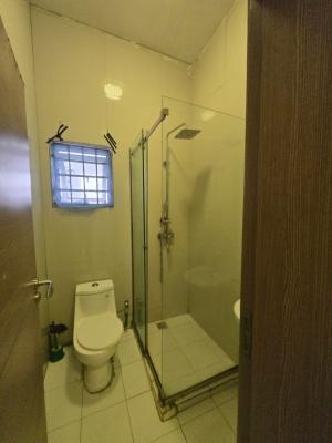 Luxury Standard Serviced Mini Flat in Victoria Island, Vi, Victoria Island (vi), Lagos, Flat / Apartment for Rent