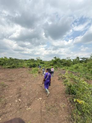 Farmland with Certificate of Occupancy ( C of O), Olamide Agro Smart City Located at Wasimi Ado Iwaye Iseyin Lga, Ibadan, Oyo, Commercial Land for Sale