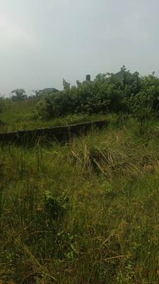 Mix Used Land, Abijo Estate, Ibeju, Lagos, Commercial Land for Sale