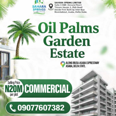 Deed of Conveyance and Registered Survey Plan, Ibusa Road Asaba, Aniocha South, Delta, Mixed-use Land for Sale