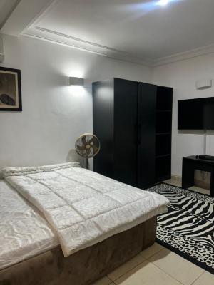 Top Tier 1 Bedroom Apartment, Katampe Extension, Katampe, Abuja, Mini Flat (room and Parlour) for Rent