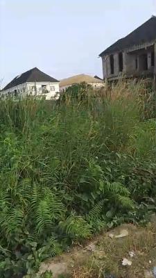 494sqm Land with Global C of O, Sangotedo, Ajah, Lagos, Residential Land for Sale