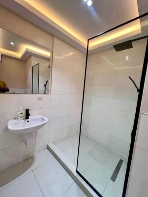 2 Bedroom Furnished Apartment, Ikate Lekki, Ikate, Lekki, Lagos, Flat / Apartment for Rent