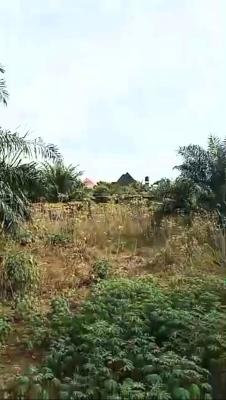 Direct Mandate, Ikpoba Okha, Edo, Mixed-use Land for Sale