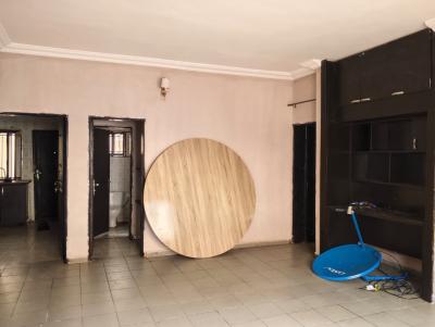 Clean and Spacious 2 Bedroom Apartment, Jabi, Abuja, Flat / Apartment for Rent