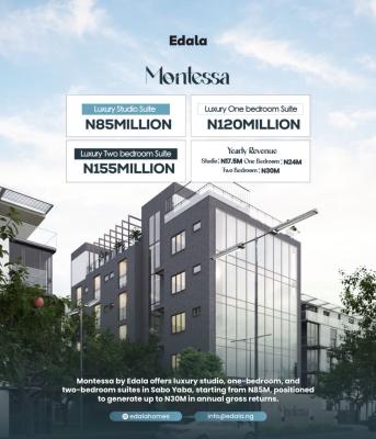 Earn Up to 30m Annually of a 2 Bedroom Apartment with Co-working Space, Perfect for High Returns with Strong Rental Income, Yaba, Lagos, Block of Flats for Sale