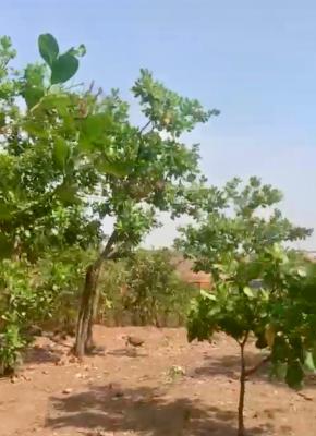 3,081sqm in Premium Location of, Guzape District, Abuja, Residential Land for Sale