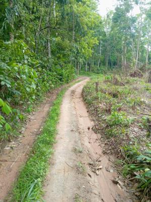 Affordable Fertile Farm Land Benin Abuja Expressway, Benin Abuja Expressway After Egba, Uhunmwonde, Edo, Mixed-use Land for Sale