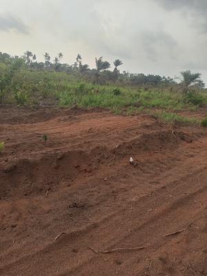 12 Plots of Land Benin Lagos Expressway By Custom Checkpoint Ekiadolor, Ewu Community Benin Lagos Expressway, Ovia South-west, Edo, Mixed-use Land for Sale