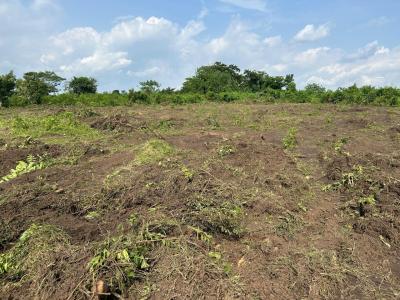 Affordable Land in Prime Location with Amazing Features, Aras Court Estate in Lagbin Ido Ologuneru,, Ibadan, Oyo, Residential Land for Sale