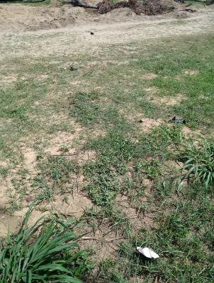 Prime 1000 Sqm Plot with State Title, Off Bourdillon Road, Old Ikoyi, Ikoyi, Lagos, Residential Land for Sale