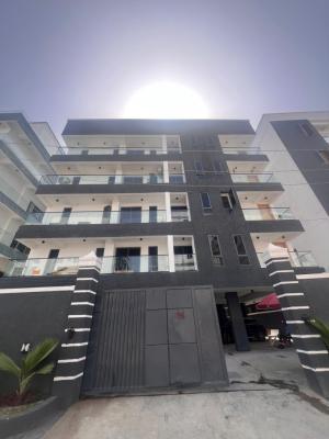 Magnificent 2 Bedroom Apartment with Elevator in a Serene Environment, Perfect for Shortlet Investment & Earn Passive Income, Ikate, Lekki, Lagos, Flat / Apartment for Sale