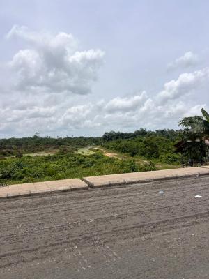 Magnificent Buy & Build Land Along The Lasu-iba Expressway, Lasu-iba Expressway,iba, Ojo, Lagos, Mixed-use Land for Sale