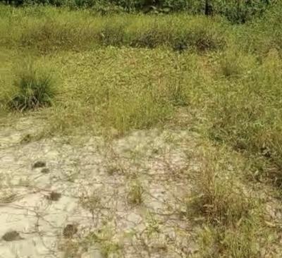 25 Acres of Land, Directly on Lagos- Ibadan Expressway, Km 46, Ogun, Land for Sale