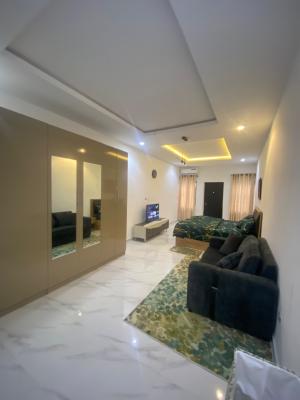 Luxury Newly Built 2 Bedroom Terrace, Lekki Phase 1, Lekki, Lagos, Terraced Duplex for Rent