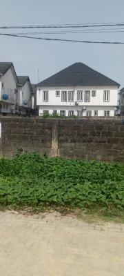Dry Full Plot, Conservation Road, Lekki, Lagos, Mixed-use Land for Sale