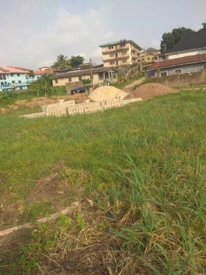 Land with Register Survey, Agric, Ikorodu, Lagos, Mixed-use Land for Sale