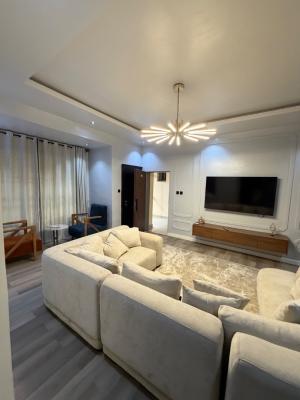 Luxury and Exquisitely Furnished Two Bedroom Apartment, Main Wuye, Tarred Road, Wuye, Abuja, Flat / Apartment for Rent