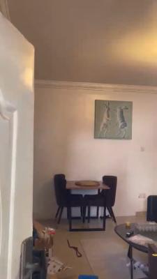 Nice Mini Flat Unfurnished, Victoria Island (vi), Lagos, Mini Flat (room and Parlour) for Rent