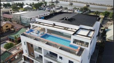 Fully Furnished, Serviced 1 Bedroom Apartment with Rooftop, Lekki Phase1, Lekki Phase 1, Lekki, Lagos, Flat / Apartment for Sale