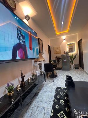 Luxury Furnished 2 Bedroom Flat with Inverter,  Airbn Can Flu, Zone 6, Wuse, Abuja, Flat / Apartment for Rent