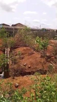 Half Plot with Standard 4 Mini Flats Foundation, Baale Animashaun Road, Alakuko, Ifako-ijaiye, Lagos, Residential Land for Sale