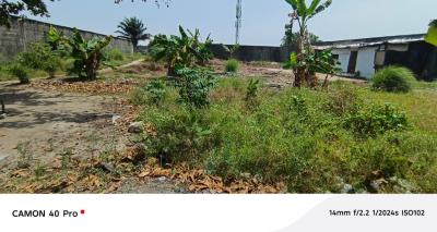a Massive Dry Land Measuring 1112sqm, Behind Corona School, General Paint, Ajah, Lagos, Mixed-use Land for Sale
