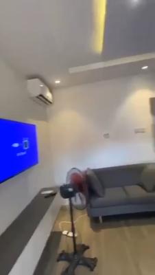 Fully Furnished 1 Bedroom Flat, Pedro Road, Gbagada, Lagos, Flat / Apartment for Rent